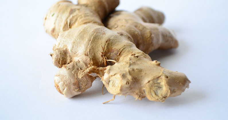 A close up of a ginger root on a white background.