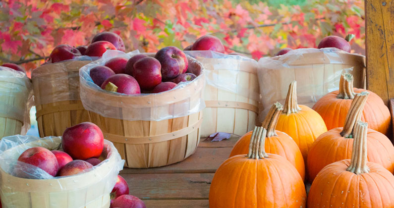 Baskets of apples and pumpkins on a wooden table.